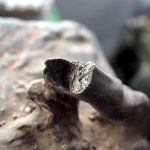 Etat de la patte arrière gauche