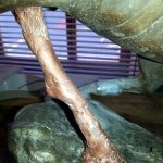 Habillage du 3ème appui