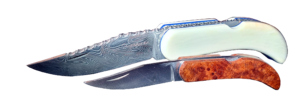 Le criquet et le Jimini criquet