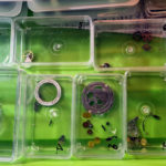 Chronographe ETA 7750, boîte acier, vis bleuies, en cours de montage